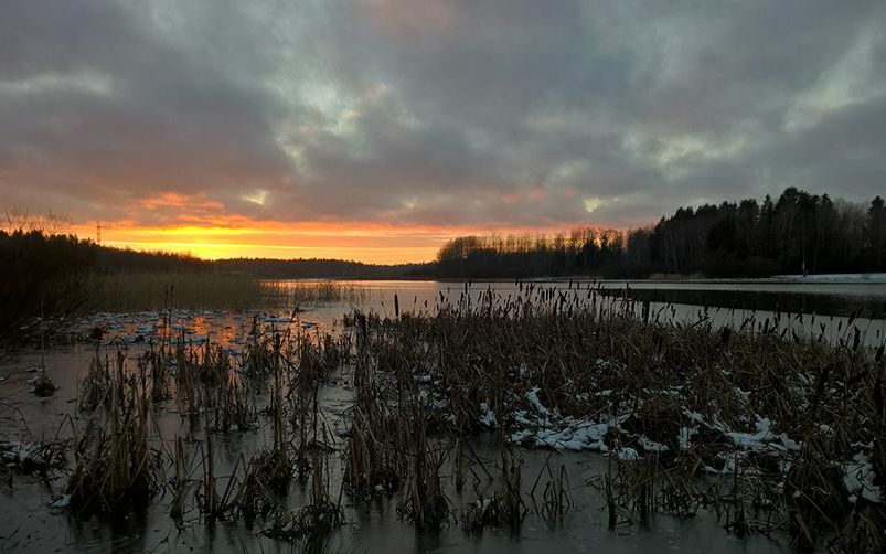 Ai Acest Telefon Tocmai A Fost Lansata O Aplicatie Care Iti Va Schimba Radical Camera Smartphone Ului