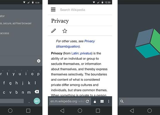 Mai Tare Decat Chrome Browserul Acesta Iti Asigura Intimitatea Pe Internet Si E Gratuit