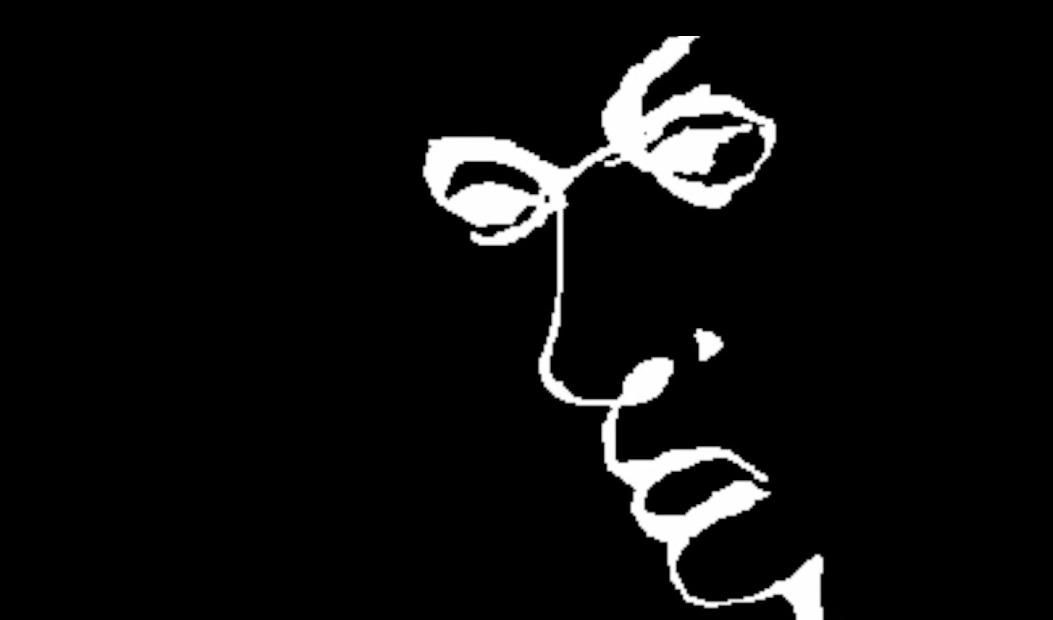 7 iluzii optice care iti pacalesc mintea. VIDEO