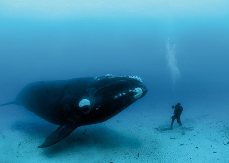 Oamenii Pot Trai 200 De Ani Cancerul Poate Fi Evitat Secretul Unei Vieti Mai Lungi A Fost Descoperit