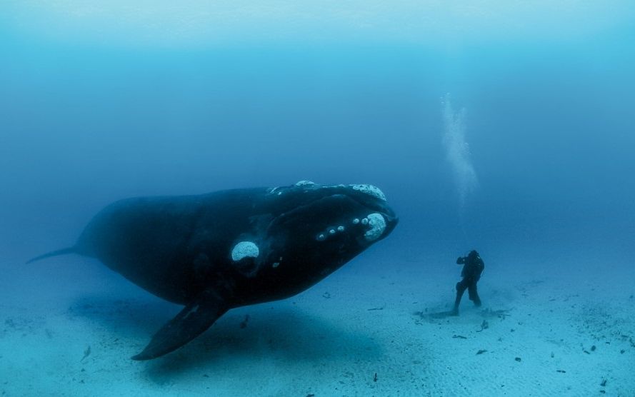 Oamenii Pot Trai 200 De Ani Cancerul Poate Fi Evitat Secretul Unei Vieti Mai Lungi A Fost Descoperit