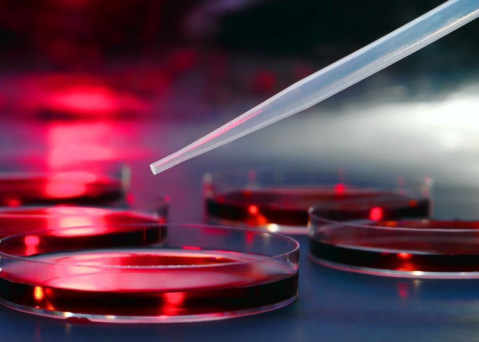 Coreea De Sud Va Investi 300 De Milioane De Dolari In Biotech