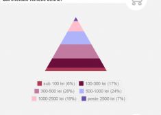 Romancele cheltuiesc cu 20% mai mult decat barbatii pe gadgeturi Romancele Cheltuiesc Cu 20 Mai Mult Decat Barbatii Pe Gadgeturi