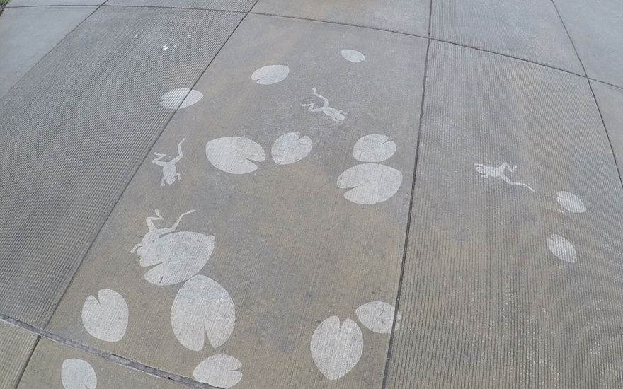 Oamenilor Nu Le A Venit Sa Creada Mesajul Aparut Pe Strada Dupa Ce A Plouat