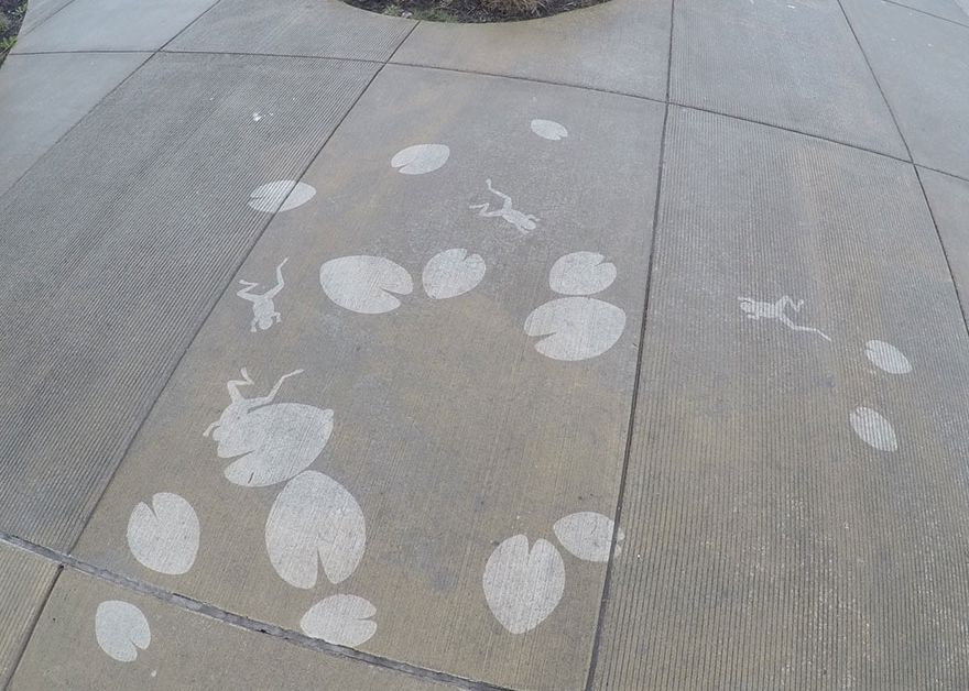 Oamenilor Nu Le A Venit Sa Creada Mesajul Aparut Pe Strada Dupa Ce A Plouat