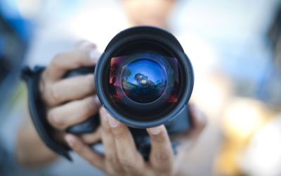Fotografia incredibila facuta unui leu inainte ca acesta sa atace! Ce s-a intamplat imediat dupa
