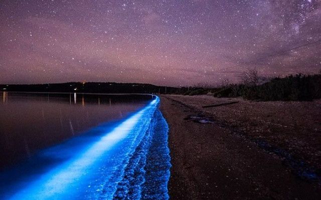 Imagini Din Alta Lume Pe O Plaja Din Tasmania Fenomenul Natural Care Te Lasa Fara Cuvinte