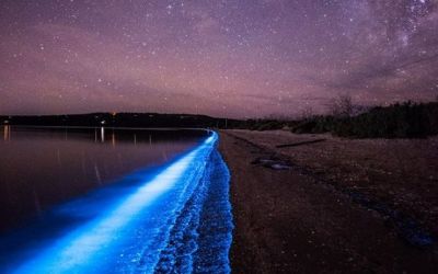 Imagini din alta lume pe o plaja din Tasmania. Fenomenul natural care te lasa fara cuvinte