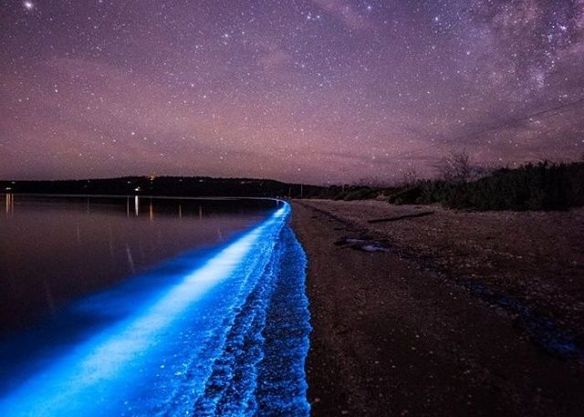 Imagini din alta lume pe o plaja din Tasmania. Fenomenul natural care te lasa fara cuvinte Imagini Din Alta Lume Pe O Plaja Din Tasmania Fenomenul Natural Care Te Lasa Fara Cuvinte