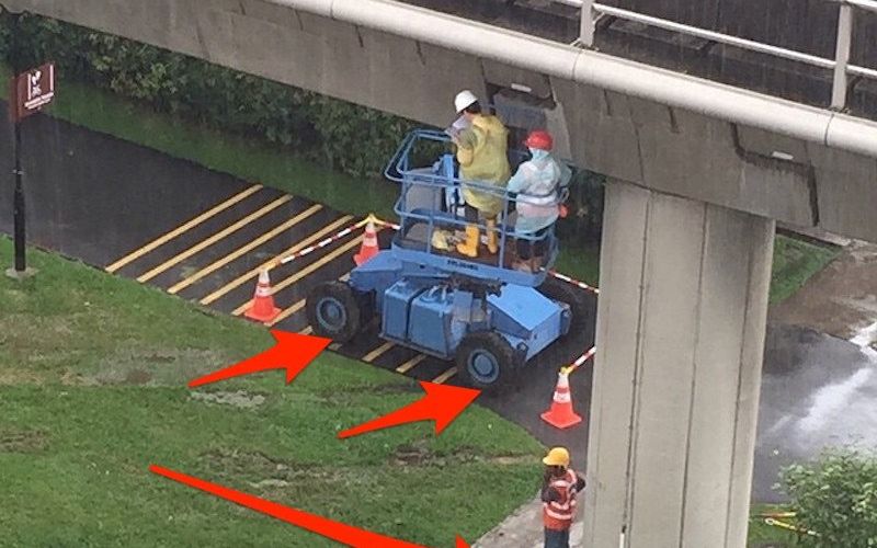 O Iluzie Optica A Innebunit Internetul Iti Dai Seama Ce E In Aceasta Poza