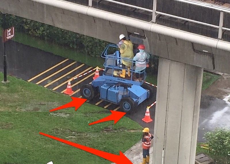 O Iluzie Optica A Innebunit Internetul Iti Dai Seama Ce E In Aceasta Poza