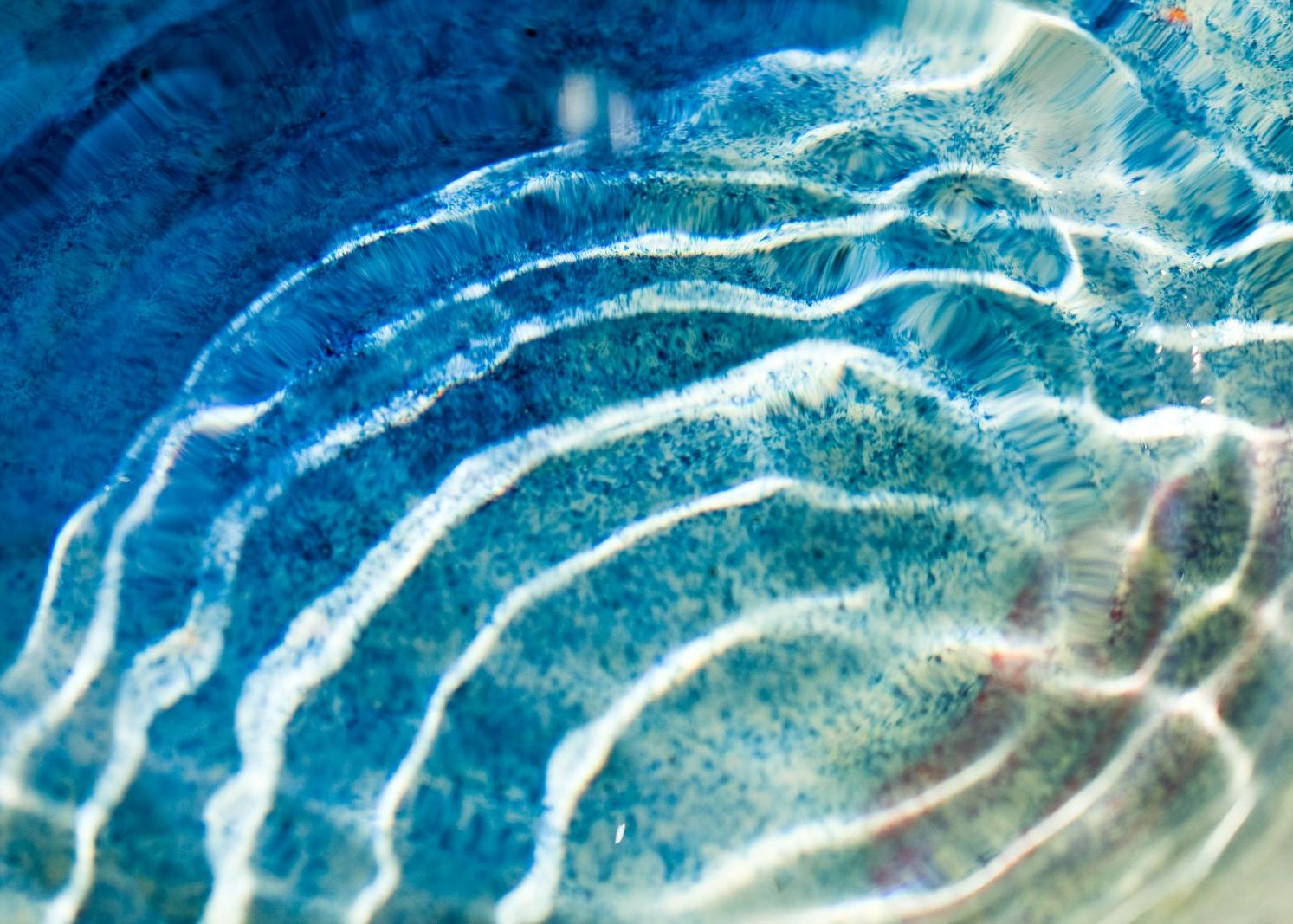 A Reusit Imposibilul Un Adolescent Supravietuit 42 De Minute Sub Apa Explicatia E Incredibila