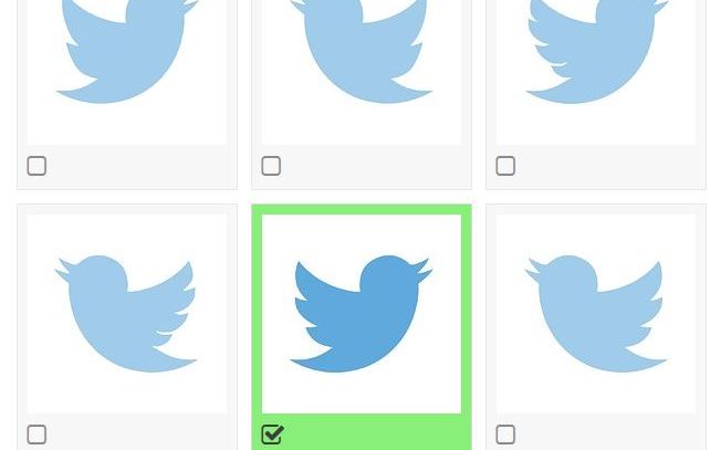 Tu Poti Ghici Care Este Logo Ul Twitter In Aceasta Imagine Doar Un Sfert Din Oameni Raspund Corect