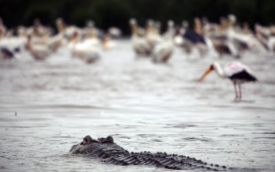 F64 aduce in Bucuresti povestile din Tanzania printr-o prezentare foto gratuita
