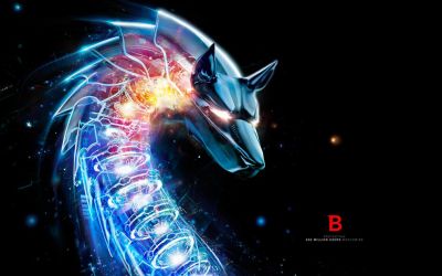 Un hacker care a furat conturi si parole ale utilizatorilor Bitdefender cere $15.000 de la companie