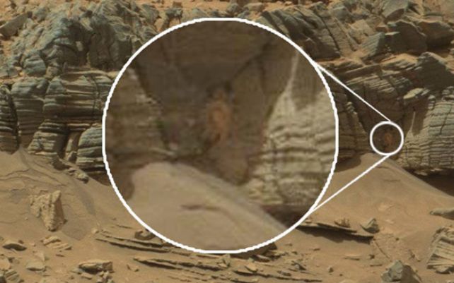 Curiosity A Fotografiat Pe Marte Un Paianjen Urias Foto