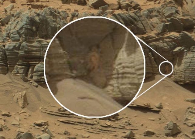 Curiosity A Fotografiat Pe Marte Un Paianjen Urias Foto