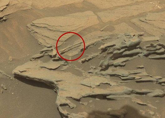 O Lingura Plutitoare Pe Marte Oamenii De Stiinta Au Fost Uimiti Cand Au Vazut Aceasta Fotografie