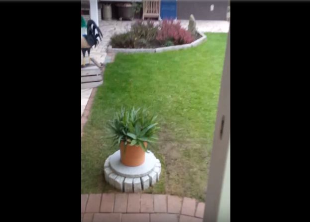 Pare Un Ghiveci Obisnuit Ce Se Intampla Cand Actionezi O Maneta Secreta Video