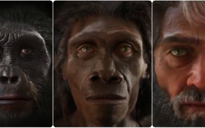 Clipul care a fost distribuit de peste 500.000 de oameni. Cum a evoluat chipul omului in ultimele 6 milioane de ani