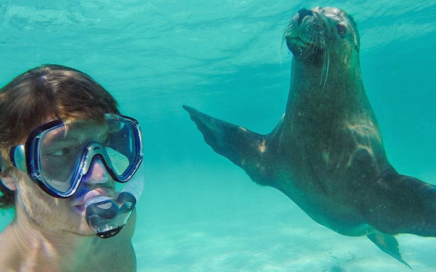 Pasiunea Lui E Una Mai Ciudata Barbatul Care Isi Face Selfie Uri Amuzante Cu Animale