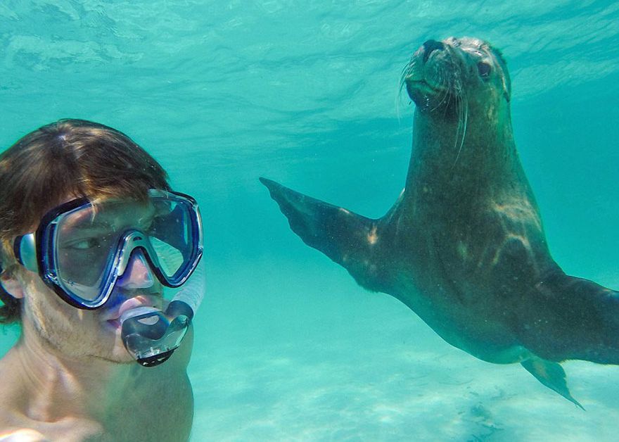 Pasiunea Lui E Una Mai Ciudata Barbatul Care Isi Face Selfie Uri Amuzante Cu Animale