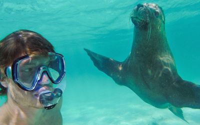 Pasiunea lui e una mai ciudata. Barbatul care isi face selfie-uri amuzante cu animale