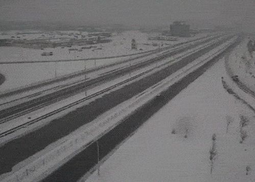 Moment Cu Adevarat Unic Surprins De O Camera De Trafic Ce Fotografii A Putut Sa Faca