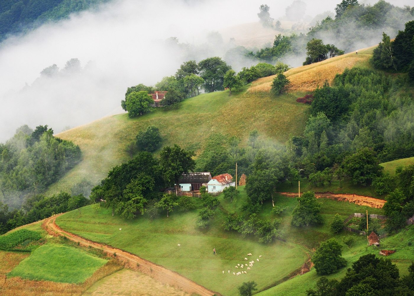 F64 Sarbatoreste Ziua Artei Fotografice Si Ii Provoaca Pe Fotografi Sa Iti Spuna Cum Se Vede Romania Prin