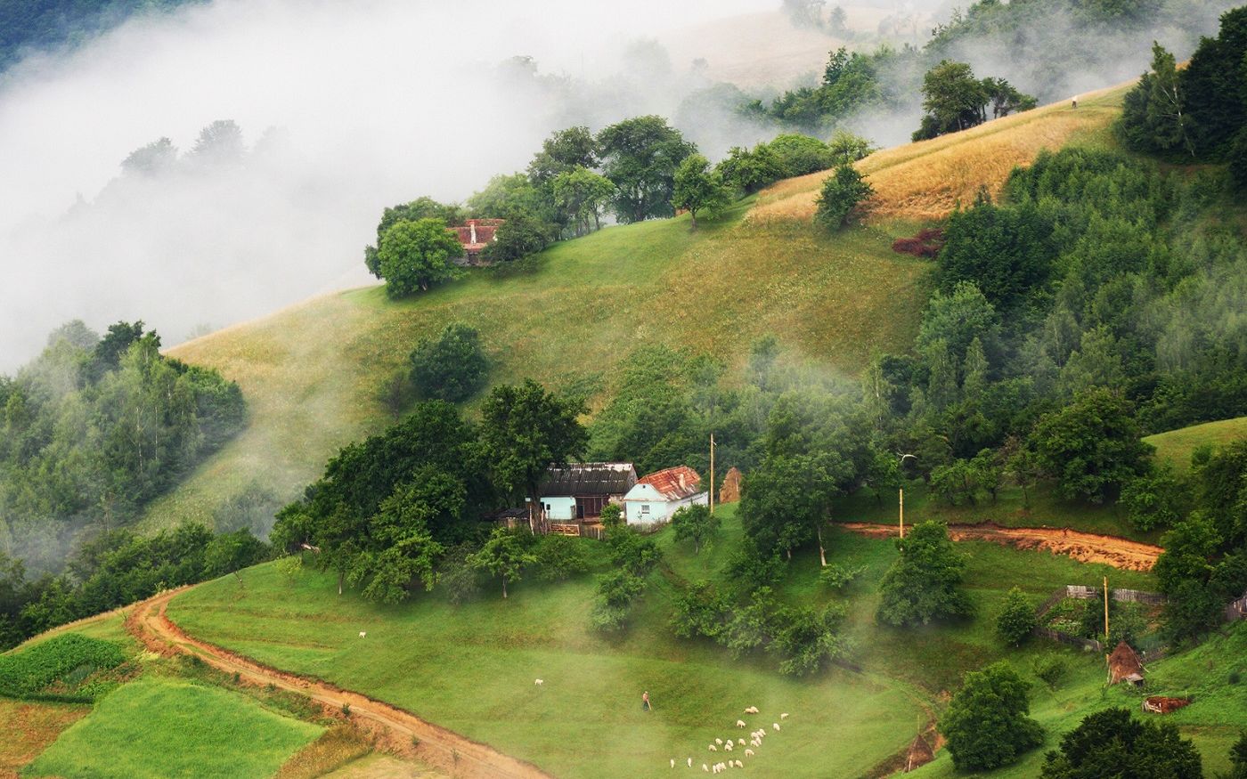 F64 Sarbatoreste Ziua Artei Fotografice Si Ii Provoaca Pe Fotografi Sa Iti Spuna Cum Se Vede Romania Prin