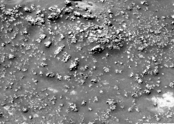 A Descoperit Nasa Semne De Viata Extraterestra Pe Marte Ce Spun Cercetatorii