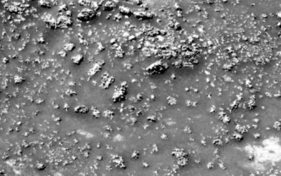 A descoperit NASA semne de viata extraterestra pe Marte? Ce spun cercetatorii