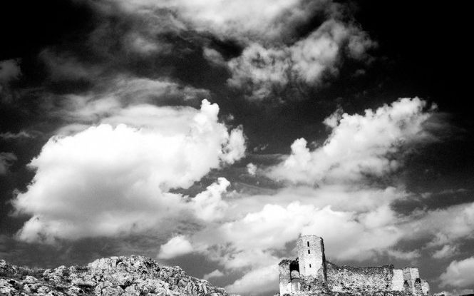 Expozitia Acqua Terra Uomo Este Gazduita De F64