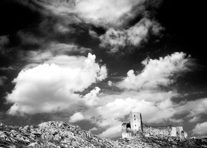 Expozitia Acqua Terra Uomo Este Gazduita De F64