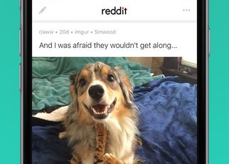 Reddit Isi Lanseaza Aplicatie Oficiala In Sfarsit