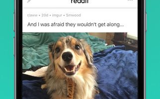 Reddit isi lanseaza aplicatie oficiala, in sfarsit