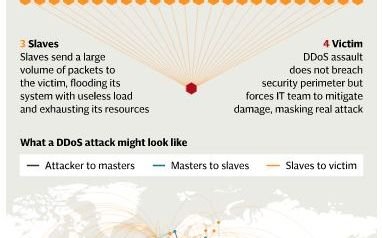 Un Adolescent A Fost Condamnat Dupa Ce Programele Lui Au Oprit Peste 200 000 De Site Uri