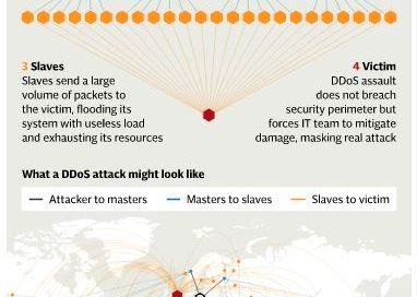 Un Adolescent A Fost Condamnat Dupa Ce Programele Lui Au Oprit Peste 200 000 De Site Uri
