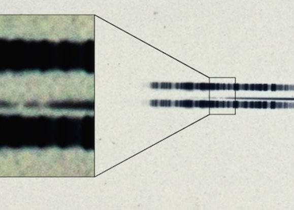 O imagine din primul Razboi Mondial ii mira pe astronomi! Ce au vazut in poza O Imagine Din Primul Razboi Mondial Ii Mira Pe Astronomi Ce Au Vazut In Poza