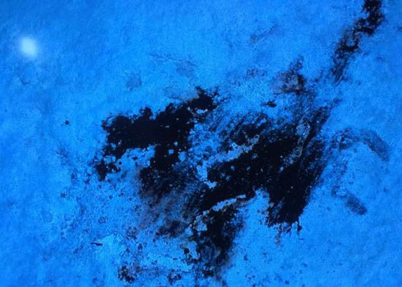 Detaliul pe care nimeni nu-l observase pana acum! Ce dezvaluie primul episod din Game of Thrones despre marele mister din ultimul an Detaliul Pe Care Nimeni Nu L Observase Pana Acum Ce Dezvaluie Primul Episod Din Game Of Thrones Despre