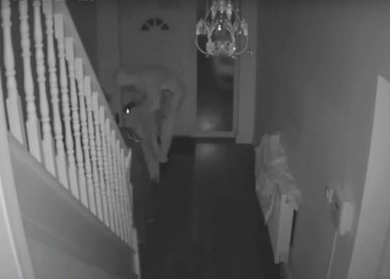 O Vedeta A Fost Jefuita In Timp Ce Dormea Cum A Reusit Sa L Prinda Inaintea Politiei Cu Ajutorul Iphone