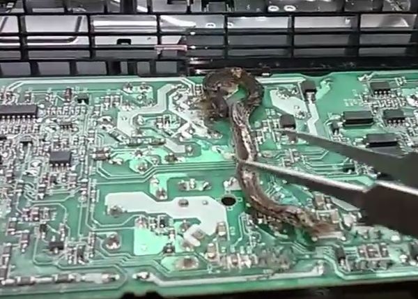 Si A Dus Consola La Reparat Dar Nu Se Gandea Niciodata Ca O Se Intample Asta Ce A Descoperit Inauntru