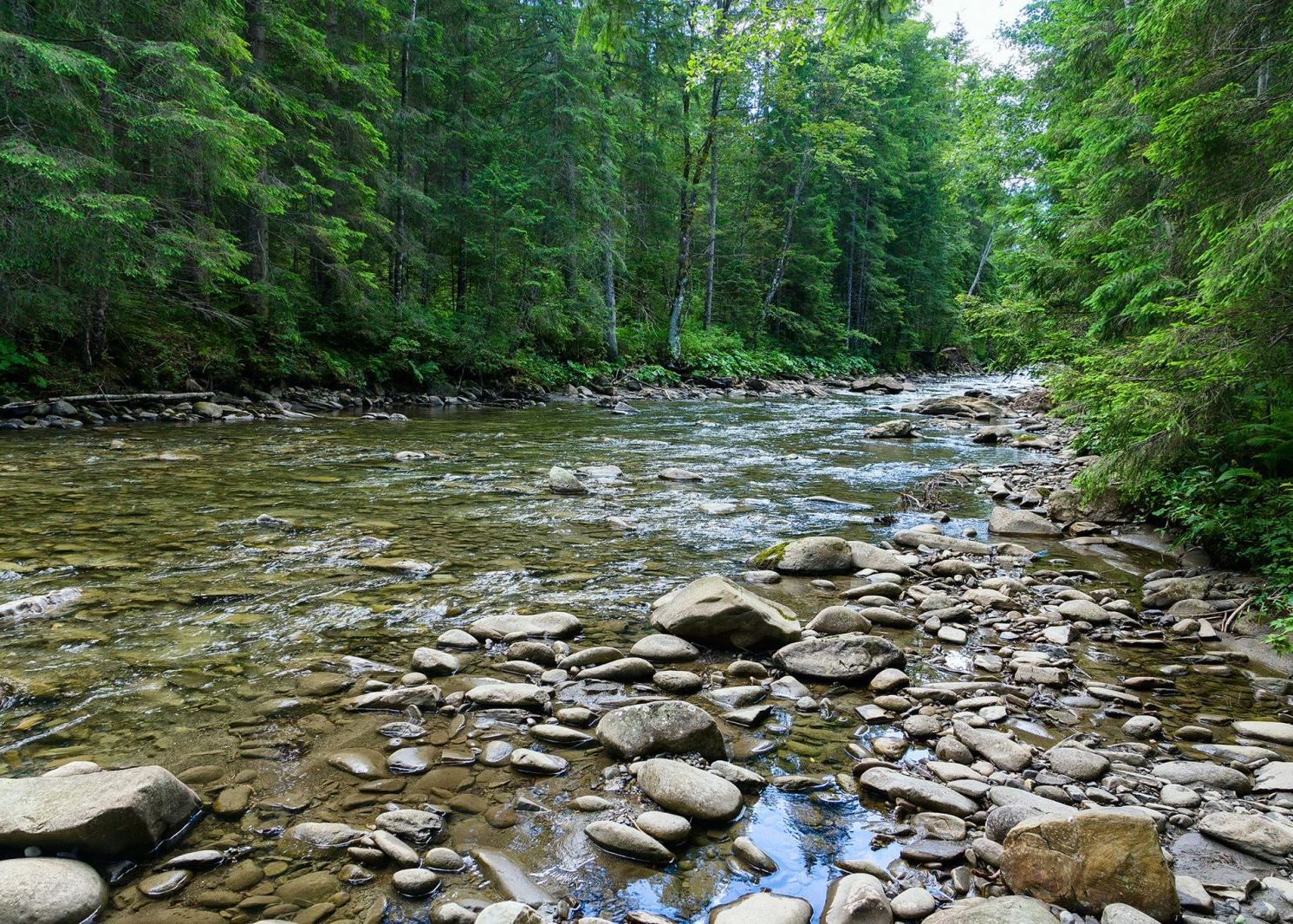 O Fata A Fost Provocata Intr Un Joc Sa Mearga La Un Rau Din Apropierea Casei Ce A Gasit Acolo A Traumatizat