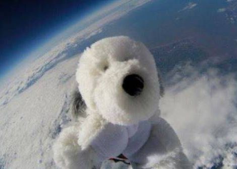Niste Copii Au Trimis Un Urs De Plus In Stratosfera Ce S A Intamplat Cu Jucaria Dupa