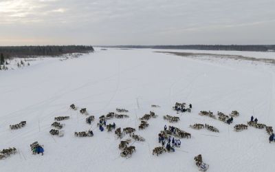 Boala zombie face ravagii in Siberia. Ce a declansat epidemia