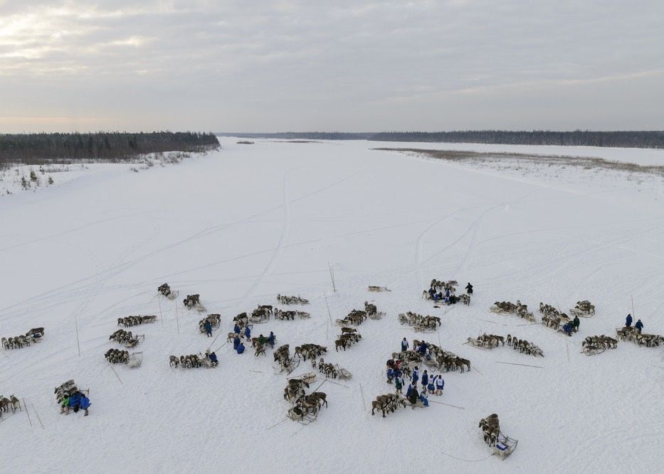Boala zombie face ravagii in Siberia. Ce a declansat epidemia Boala Zombie Face Ravagii In Siberia Ce A Declansat Epidemia