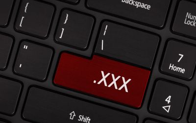 Utilizatorii unuia dintre cele mai mari site-uri pentru adulti au fost dezvaluiti pe internet