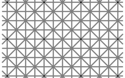 O iluzie optica a indus in eroare peste 2 milioane de oameni! Cate puncte negre sunt in imagine