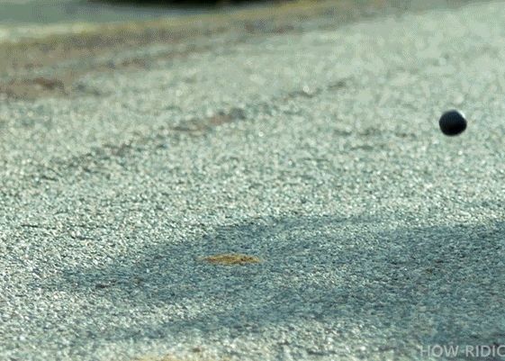 Spray Ul Care Poate Proteja Un Ou La O Cazatura De Aproape 50 De Metri Video