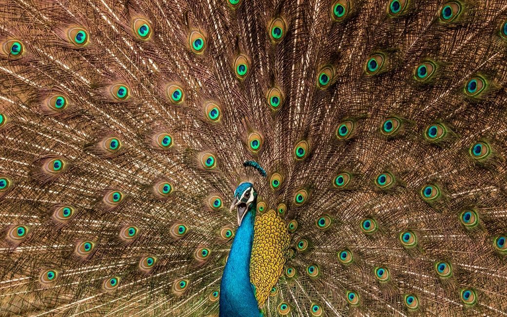 Juriul Sony World Photography Awards 2017 Cea Mai Mare Competitie De Fotografie Din Lume A Fost Anuntat 8